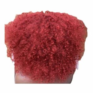 Reddie Afro Kinky Wig